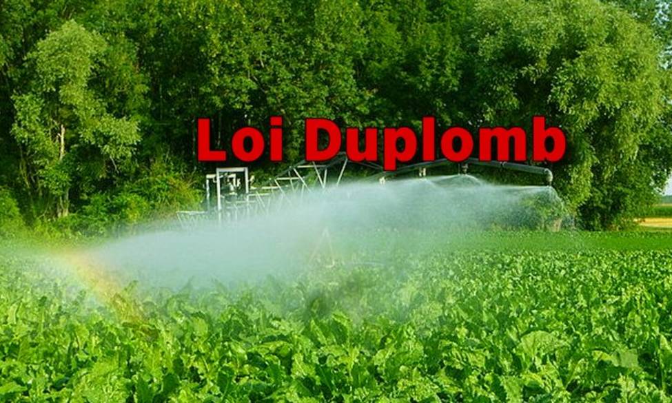Loi DUPLOMB