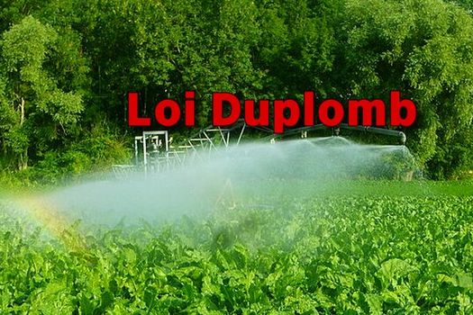 Loi DUPLOMB