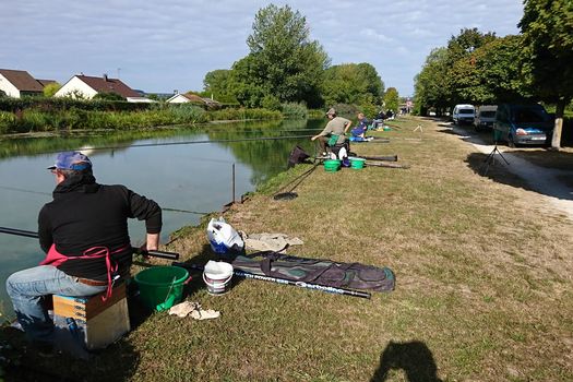 Concours de pêche au coup à Sermaize les Bains