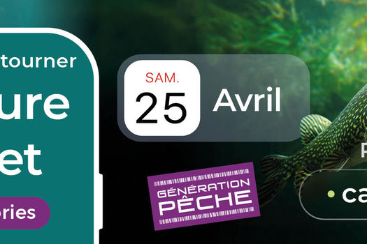 Ouverture du brochet 2026