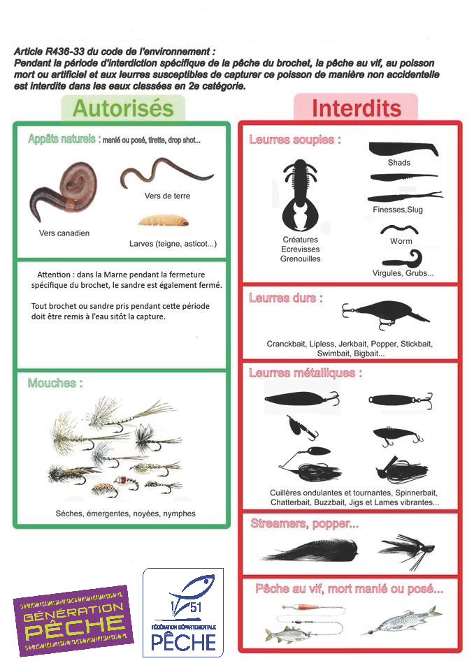 Interdiction Du Plomb à La Pêche : Impacts Et Alternatives - Blog Leurre De  La Pêche