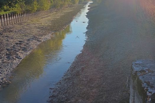 interdiction temporaire de pêche sur le canal de Conflans à Bernières