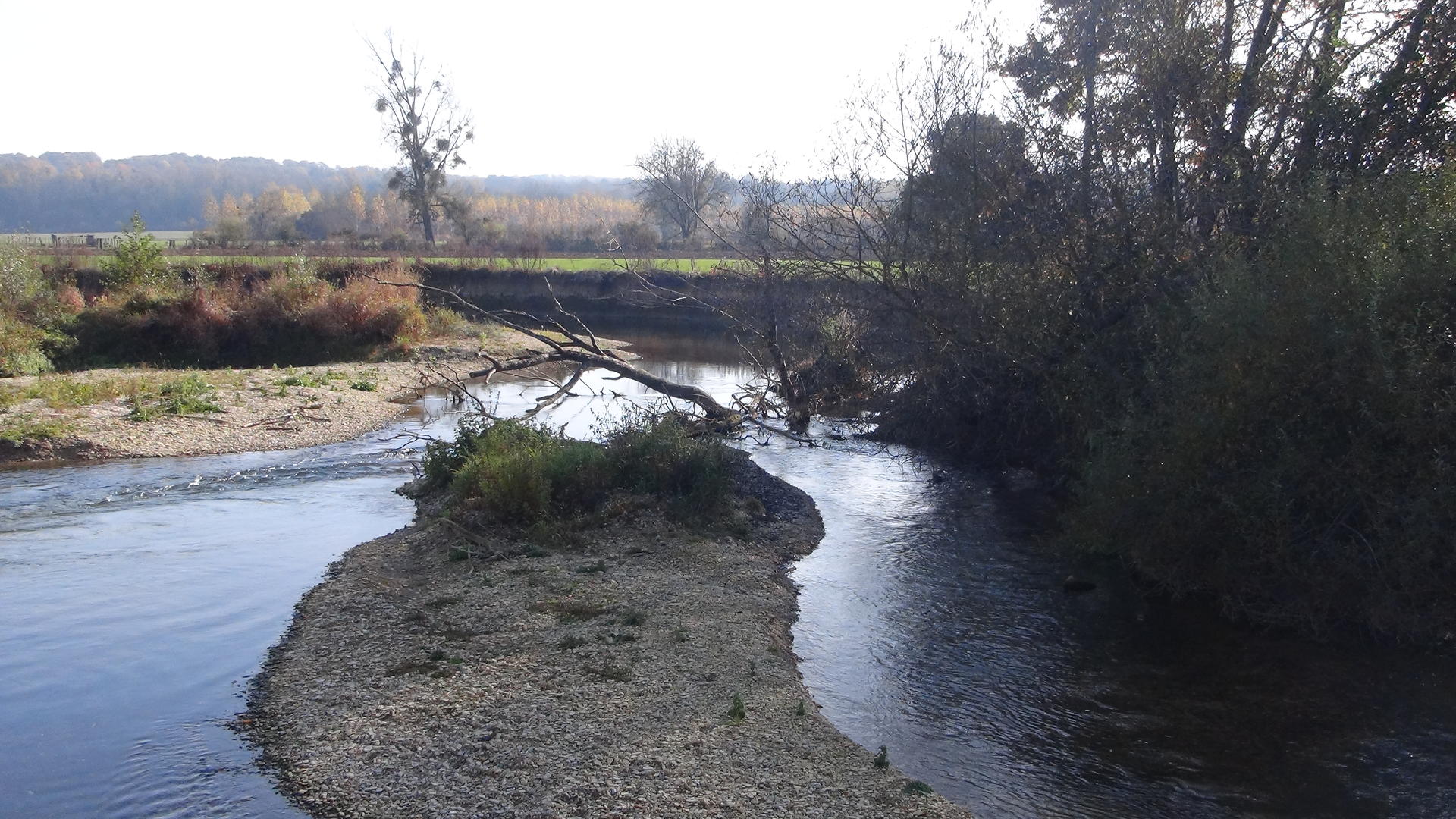 SERMAIZELESBAINS Fédération de pêche de la Marne