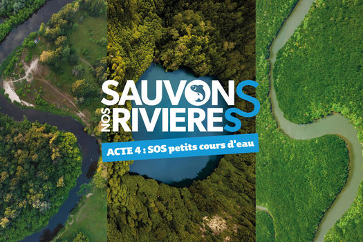 Sauvons nos rivières – Acte 4 – SOS petits cours d'eau